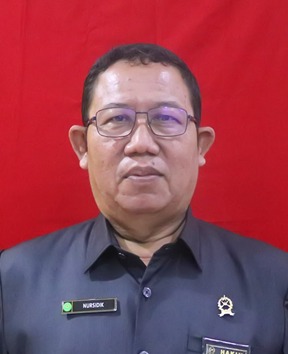 nursidik